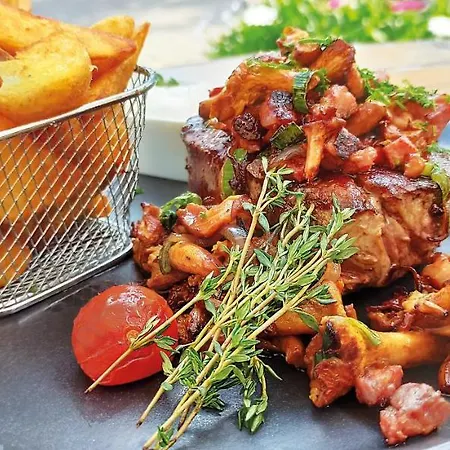 酒店 施皮特酒店 山麓魏森海姆