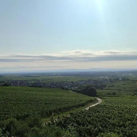 Hotel Speeter Weisenheim am Berg