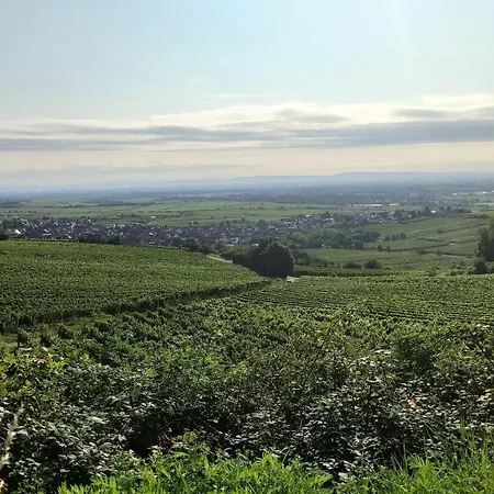 Hotel Speeter Weisenheim am Berg