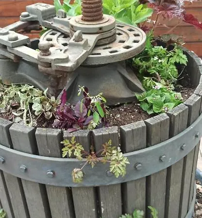 Speeter Hotel Weisenheim am Berg