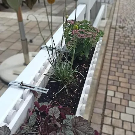 Speeter Weisenheim am Berg
