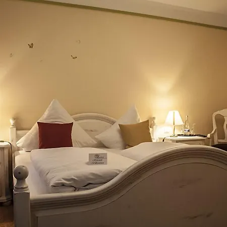 酒店 施皮特酒店 山麓魏森海姆