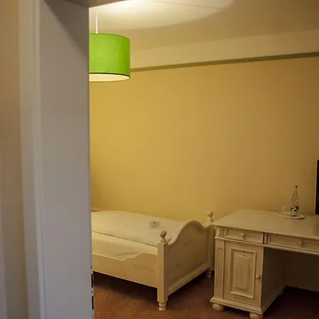 酒店 施皮特酒店 4*