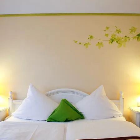 Speeter Hotel 4*