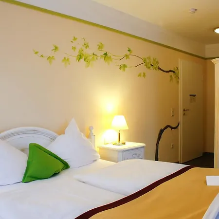 施皮特酒店 4* 山麓魏森海姆