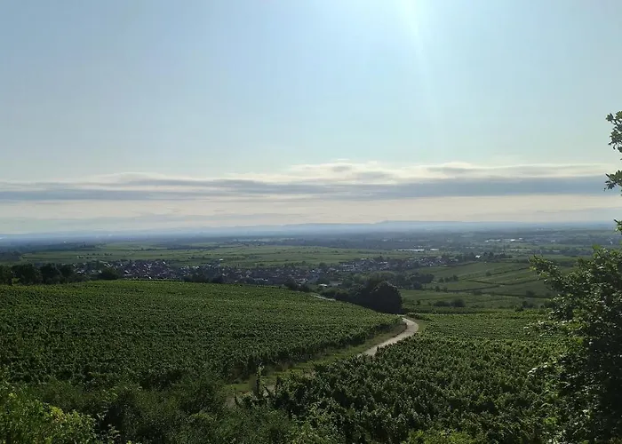 Hotel Speeter Weisenheim am Berg