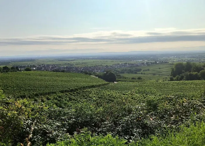Hotel Speeter Weisenheim am Berg